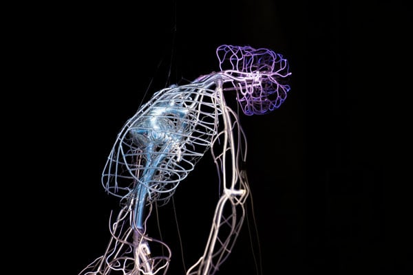 A light sculpture resembling the floating nervous system of a man hangs in a darkened gallery.