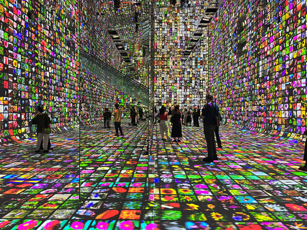 A color photograph shows a people standing in a large room covered in colorful projections of flowers.