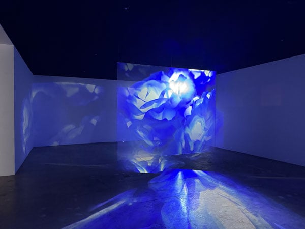 A color photograph shows a transparent scrim in the center of a gallery onto which are projected images in blue light
