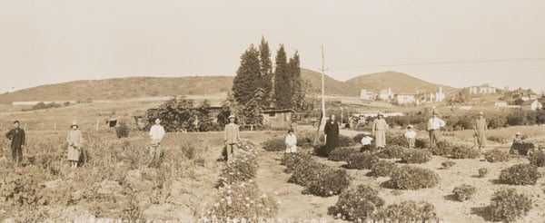 A vintage photograph from 1928 shows the Japanese American Kuromi family standing amid rows of plants in an open field, with hills as backdrops.