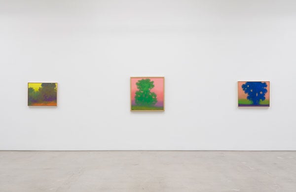 A trio of paintings of trees by Richard Mayhew, rendered in colors like pink, purple, green and yellow, hang on a gallery wall.