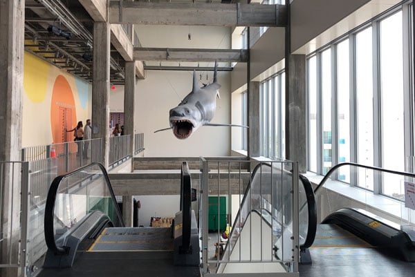 A view of the Academy Museum shows the shark from "Jaws" hanging over the escalator bank.