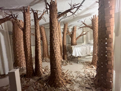 An art installation in a hospital room features a small forest of trees made from cardboard.
