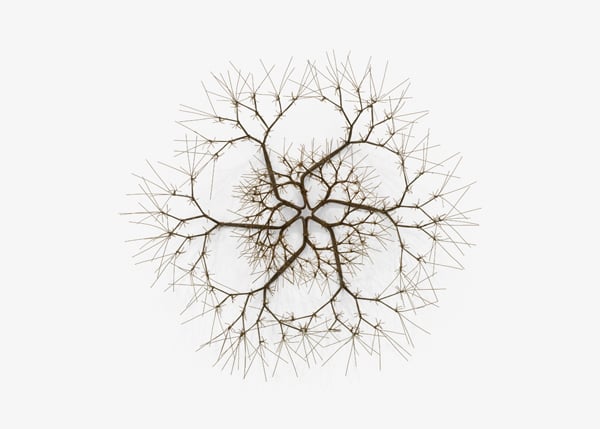 A tied wire sculpture by Ruth Asawa resembles a snowflake
