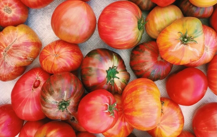 Beefsteak, Benevento, and MaiTai tomatoes are ideal for slicing and serving with salt, lemon juice, and red wine vinegar. Photo courtesy of Botanica.