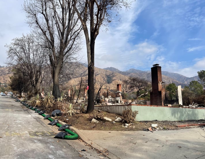 Altadena, post-fires, IMG_0383