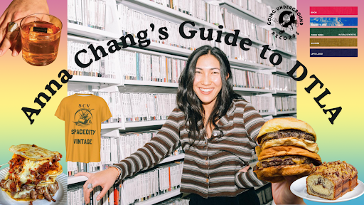 Anna Changs Guide Image