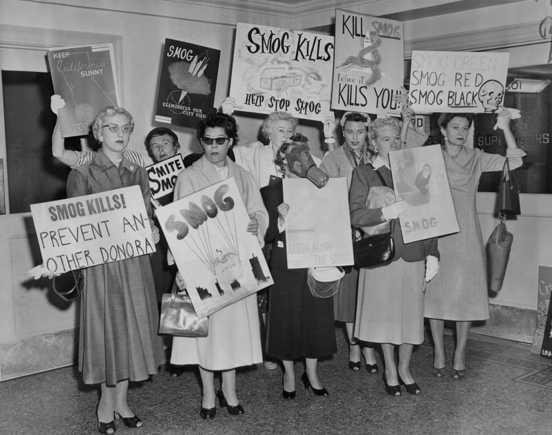 Anti-smog protesters