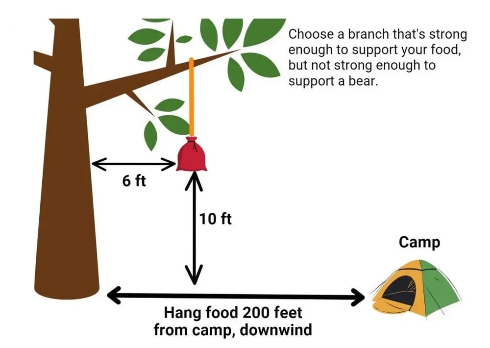 Bear-hang-basics-diagram-1024x728