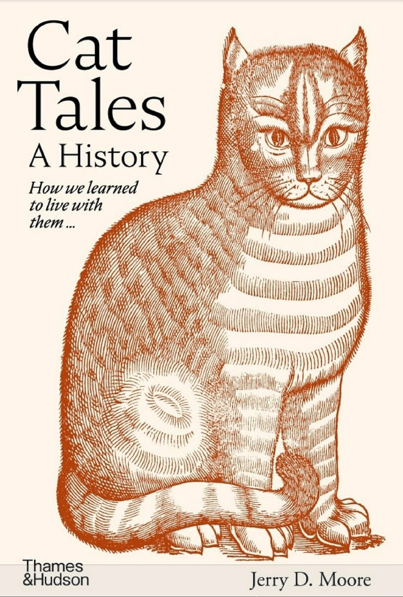 Cat Tales, A History