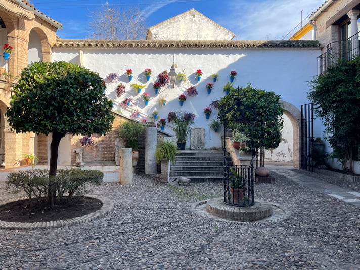 Courtyard with flower pots, Cordoba, IMG_9226