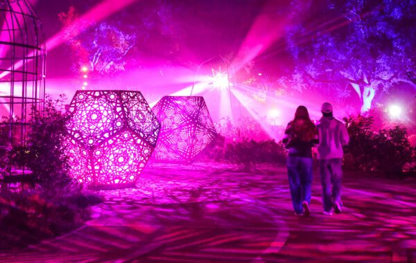 Descanso Enchanted Forest