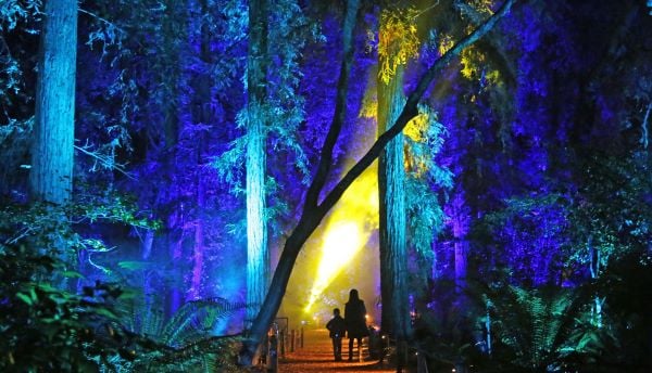 Descanso Gardens 600x338-1