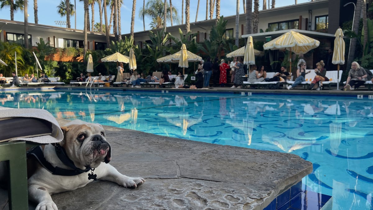 Hollywood Roosevelt on Felix's opening day, 2025. Photo by Frances Anderton