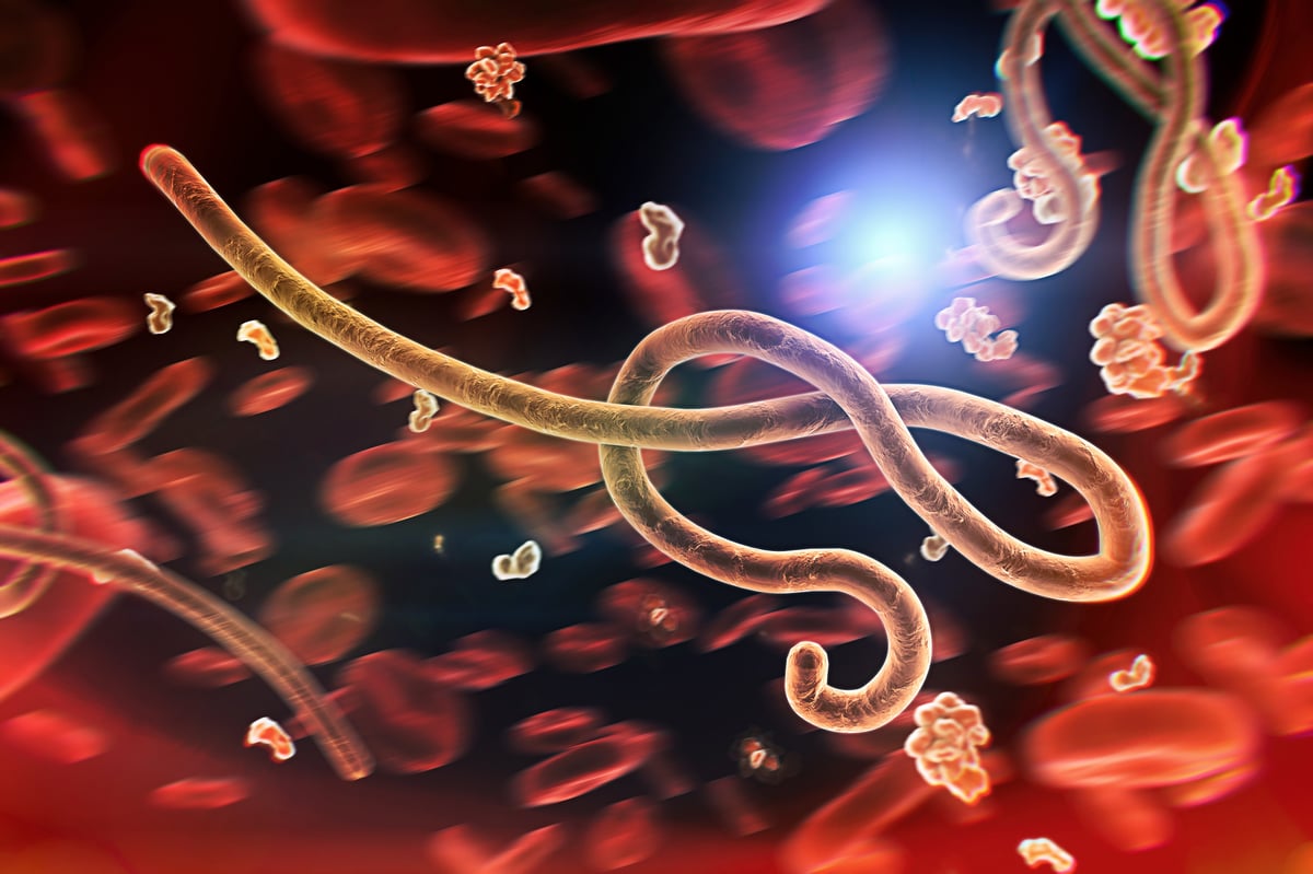 Ebola Virus - shutterstock_1670831122