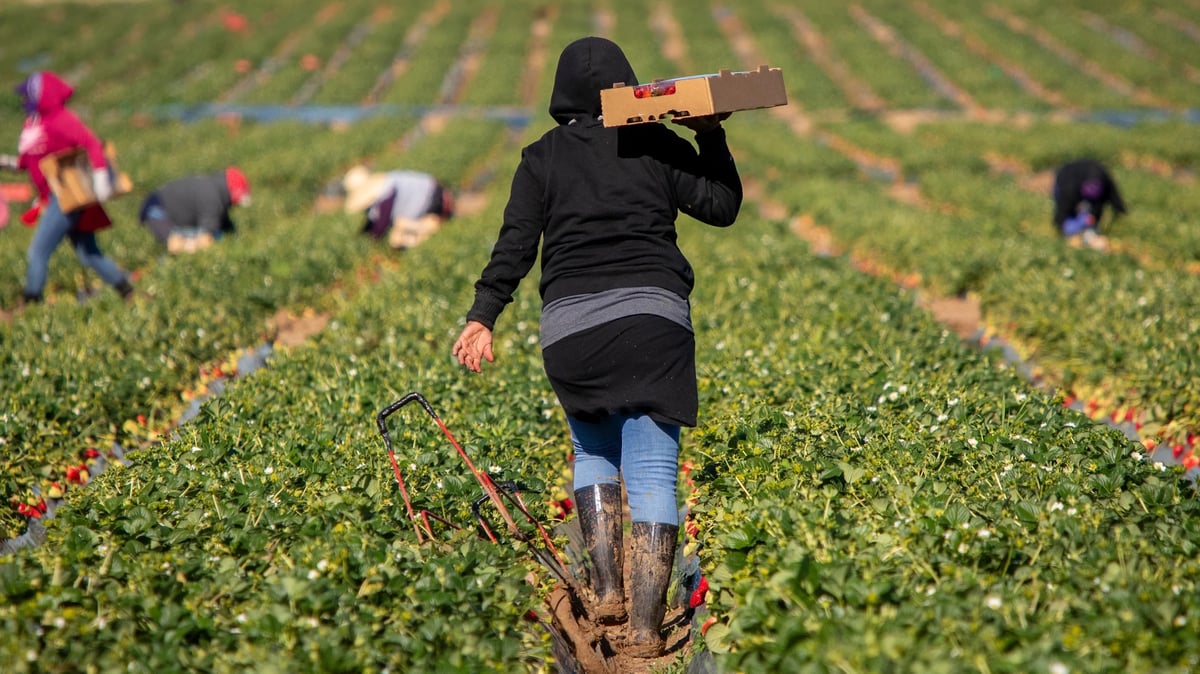 FARMWORKERS PIC