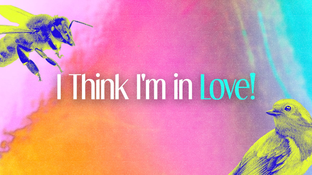 Falling in Love and Falling Apart