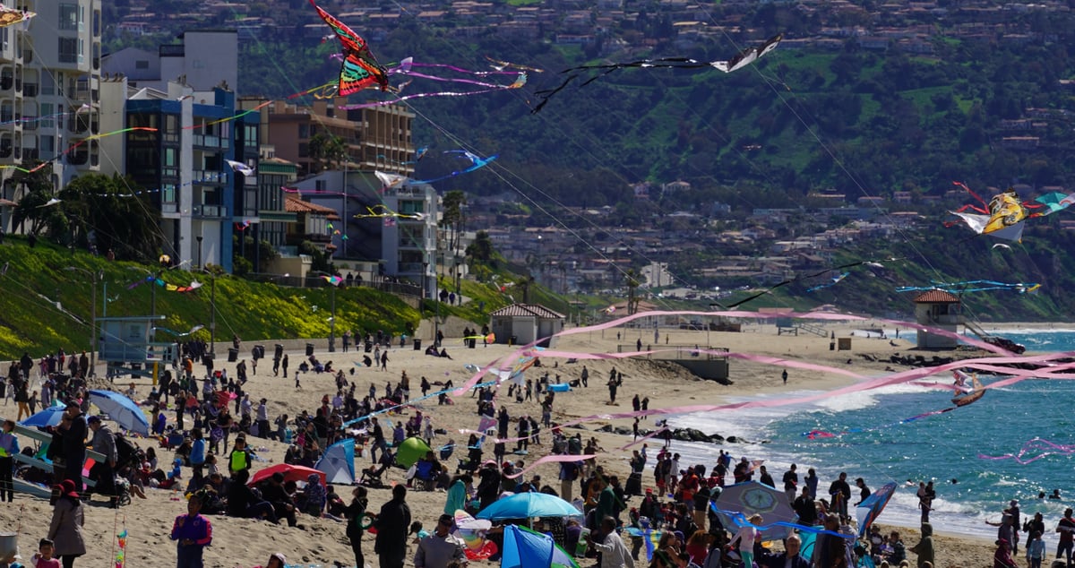 Festival of the Kite