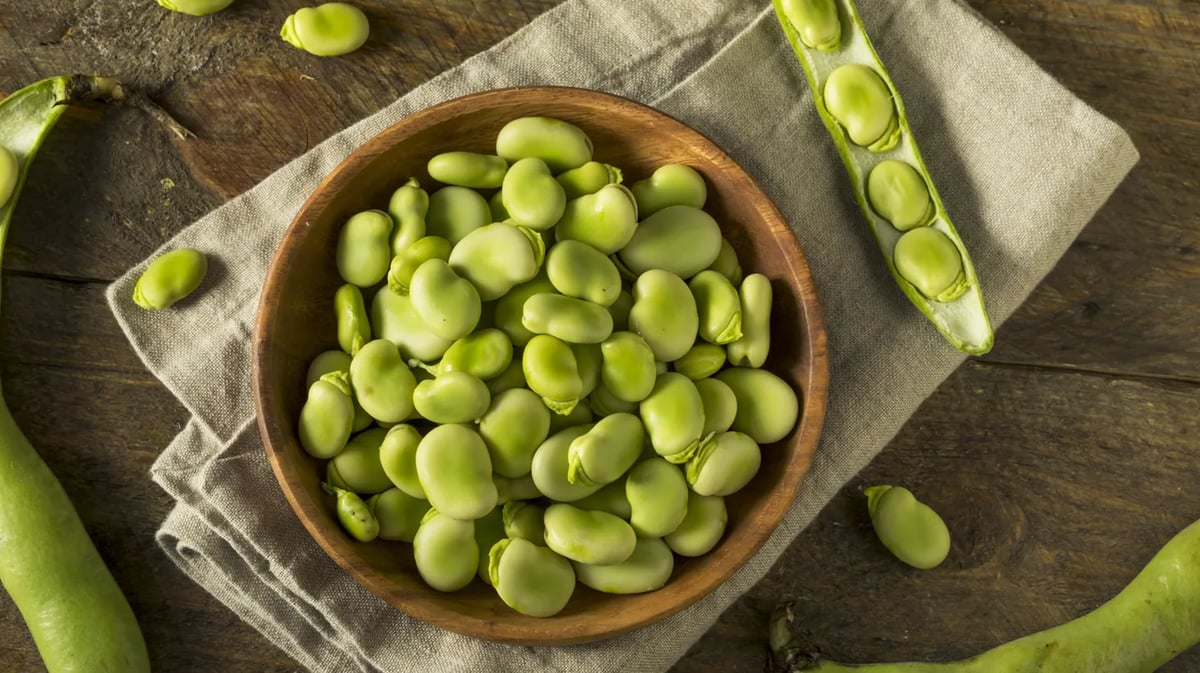 Fresh green fava beans are a nutritious and versatile ingredient. Photo by Shutterstock.