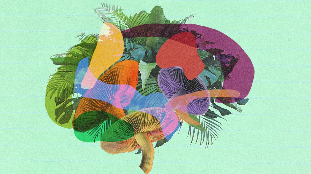 Graphic by KCRW’s Gabby Quarante.