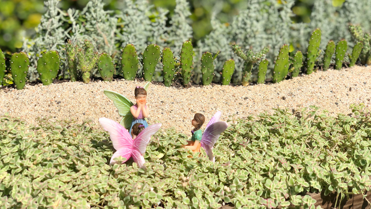 Fairy Garden by Takako Tajima, image courtesy of the artist.jpg