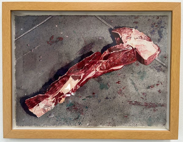 A watercolor paintings shows two strips of meat laid out on the ground in a shape that resembles a hammer.