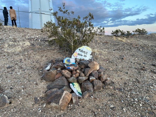 A small memorial features painted rocks with the name "Tobee"