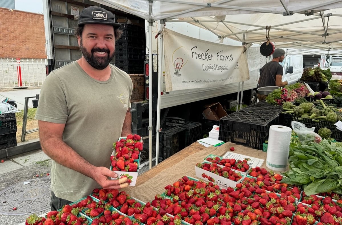 Farmer Alex Frecker worked the market stand during high school and college before being lured to get his hands in the soil. Photo by Gillian Ferguson.