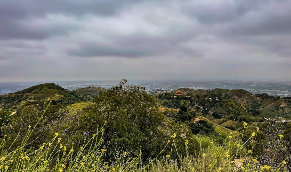 A hike along Whittier Hill may end with a visit to Brewjeria, a Pico Rivera brewery founded by avid home brewers. Photo by Johanna Flashman.