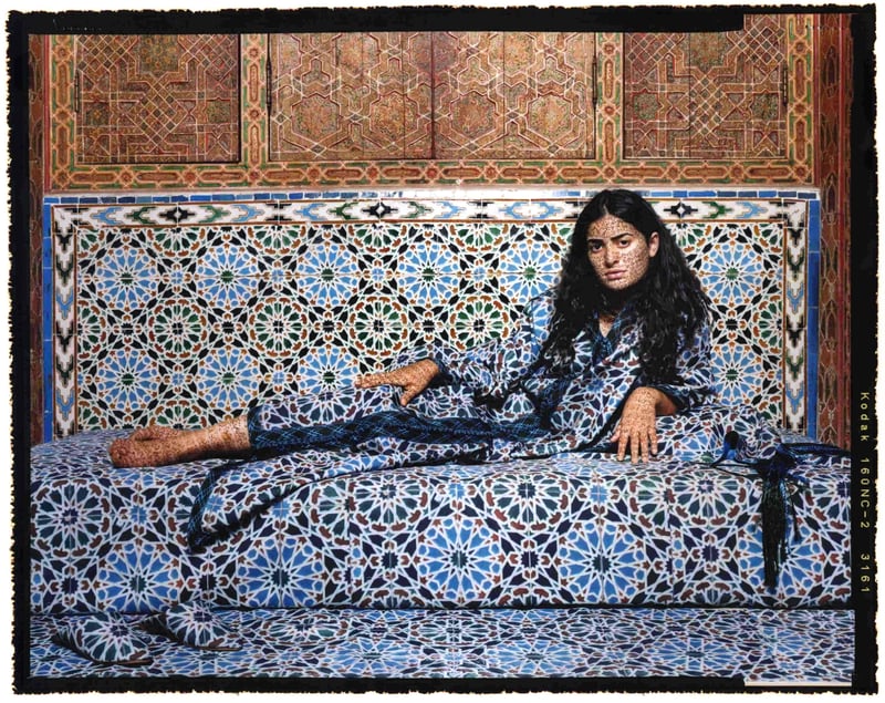 Lalla Essaydi, Harem #2, 2009, Courtesy of the artist, Jenkins Johnson Gallery, San Francisco and Edwynn Houk Gallery, New York, © Lalla Essaydi, photo courtesy the artist and Jenkins Johnson Gallery