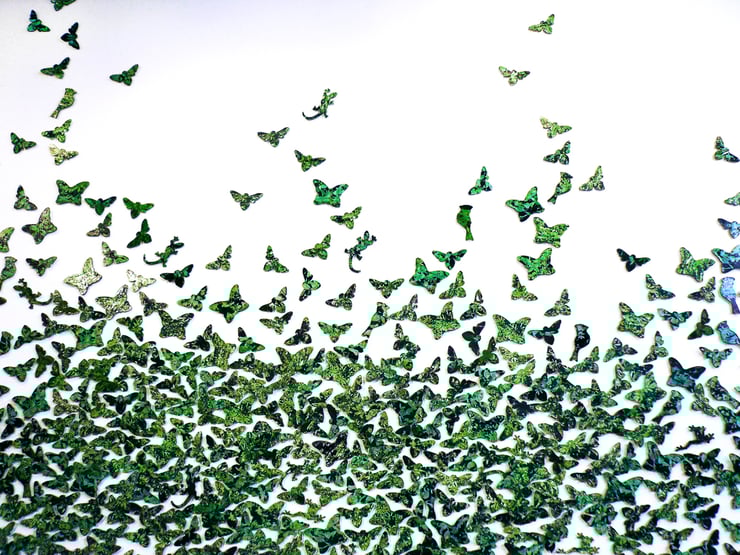 Luciana Abait - Ivy (detail)