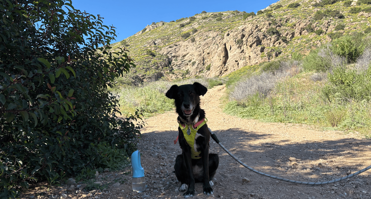 Luna Hiking Munits Cave