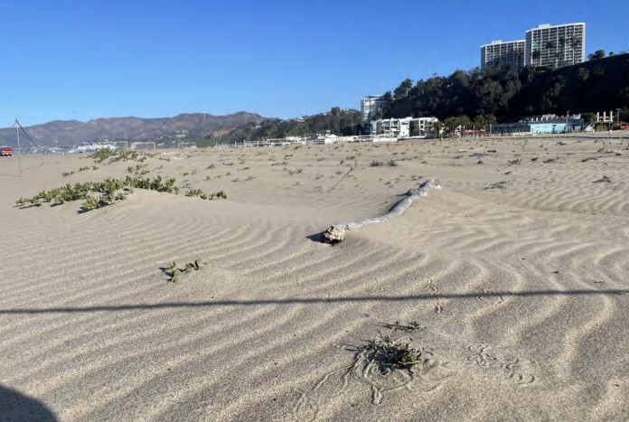 Photo courtesy California Coastal Commission