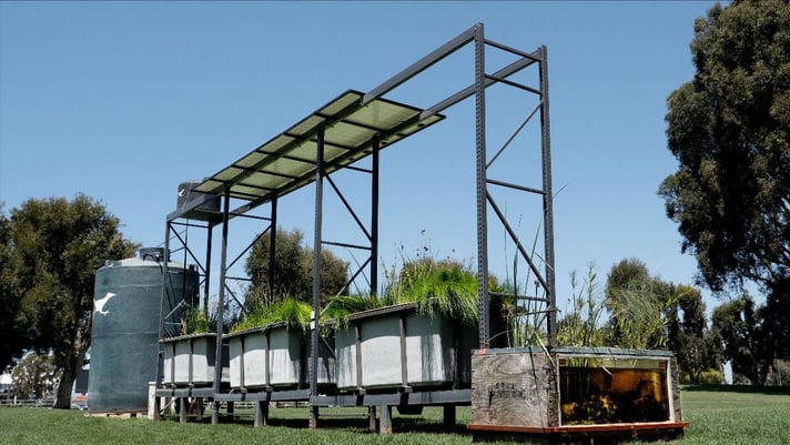 Portable Wetland