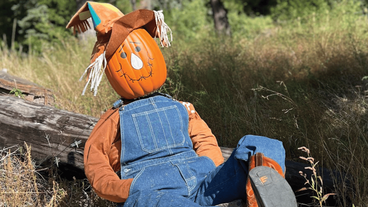 Pumpkins in the Pines