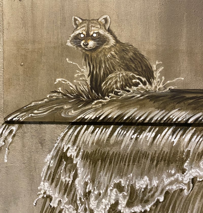 Raccoon mural, OU4