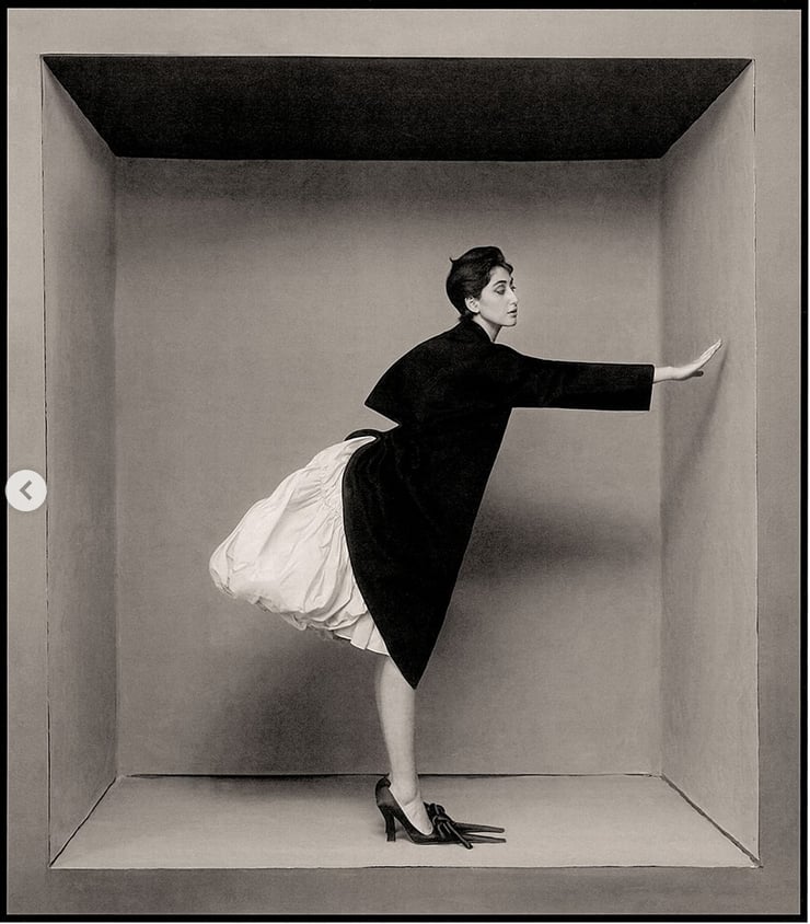 Rama Duwaji, Screenshot 2026-01-05 at 17-14-52 (9) Instagram