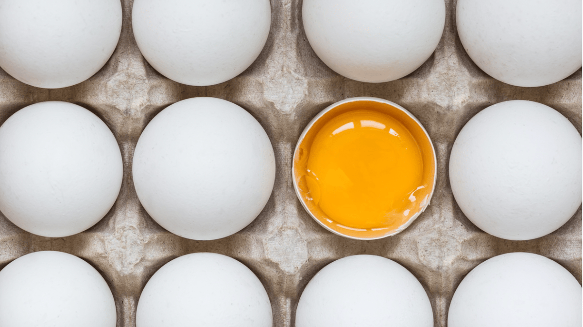 The construction of eggs goes beyond the yolk, white and shell, including the germinal disc that is visible to the naked eye. Photo courtesy of Shutterstock.