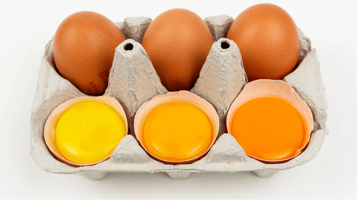 Americans' relationship with the egg yolk has changed over the course of the last 70 years. Photo via Shutterstock.
