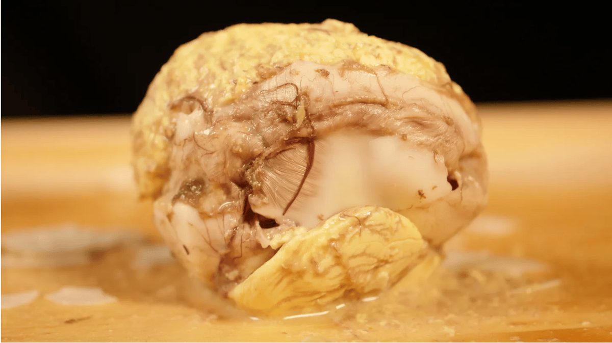 Balut, a common snack in the Philippines, is a partially formed chicken or duck, seen here without a shell. Photo courtesy of Bloomsbury.