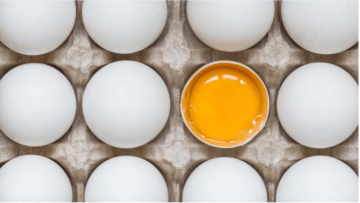 Eggs have more to them than the yolk, white and shell, like the germinal disc that's visible to the naked eye. Photo via Shutterstock.