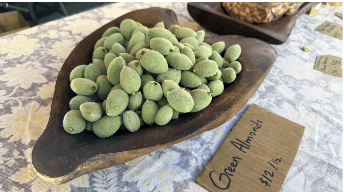 These green almonds with their fuzzy exteriors will only be at farmers markets for the next few weeks. Eventually, they'll grow into mature almonds. Photo by Gillian Ferguson/KCRW