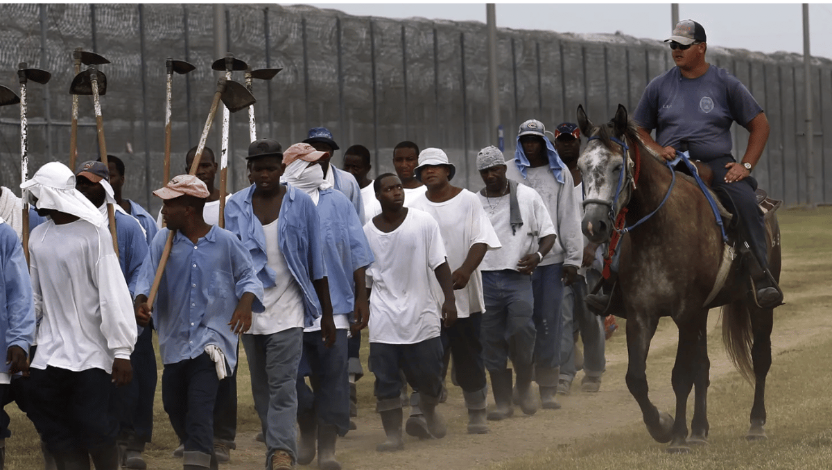 A prison guard rides a horse alongside prisoners as they return from farm work detail at the Louisiana State Penitentiary in Angola, Louisiana, on Aug. 18, 2011. Photo by Gerald Herbert.