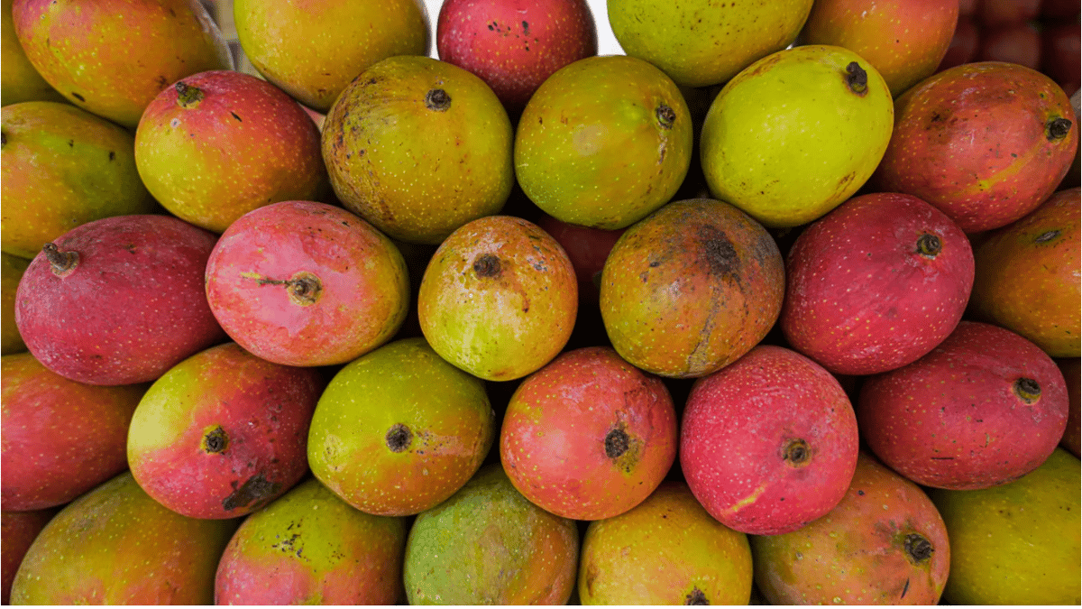 A heap of fresh, ripe mangoes awaits buyers at a market. Photo via Shutterstock.