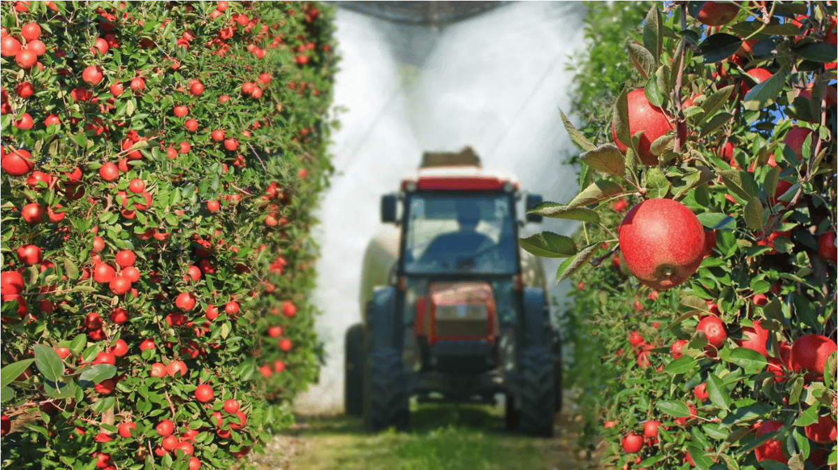 A tractor sprays pesticides on an apple orchard. Photo via Shutterstock.