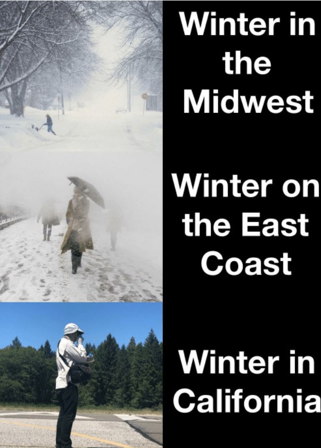 Screenshot 2026-01-28 115930