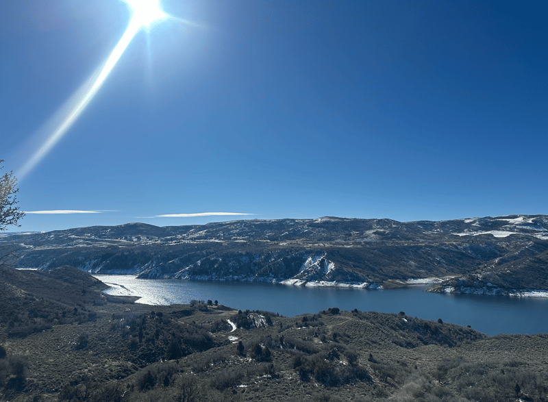 Screenshot 2026-03-11 at 2.29.02 PM