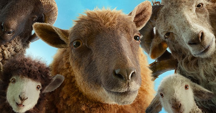 THE-SHEEP-DETECTIVES-banner