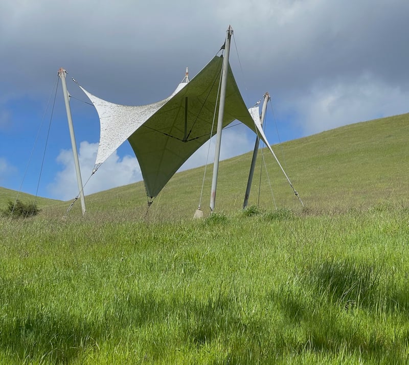 Tensile structure at Cal Poly Pomona, cropped