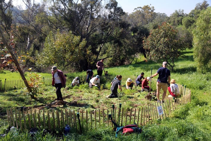 Terremoto at Elysian Park